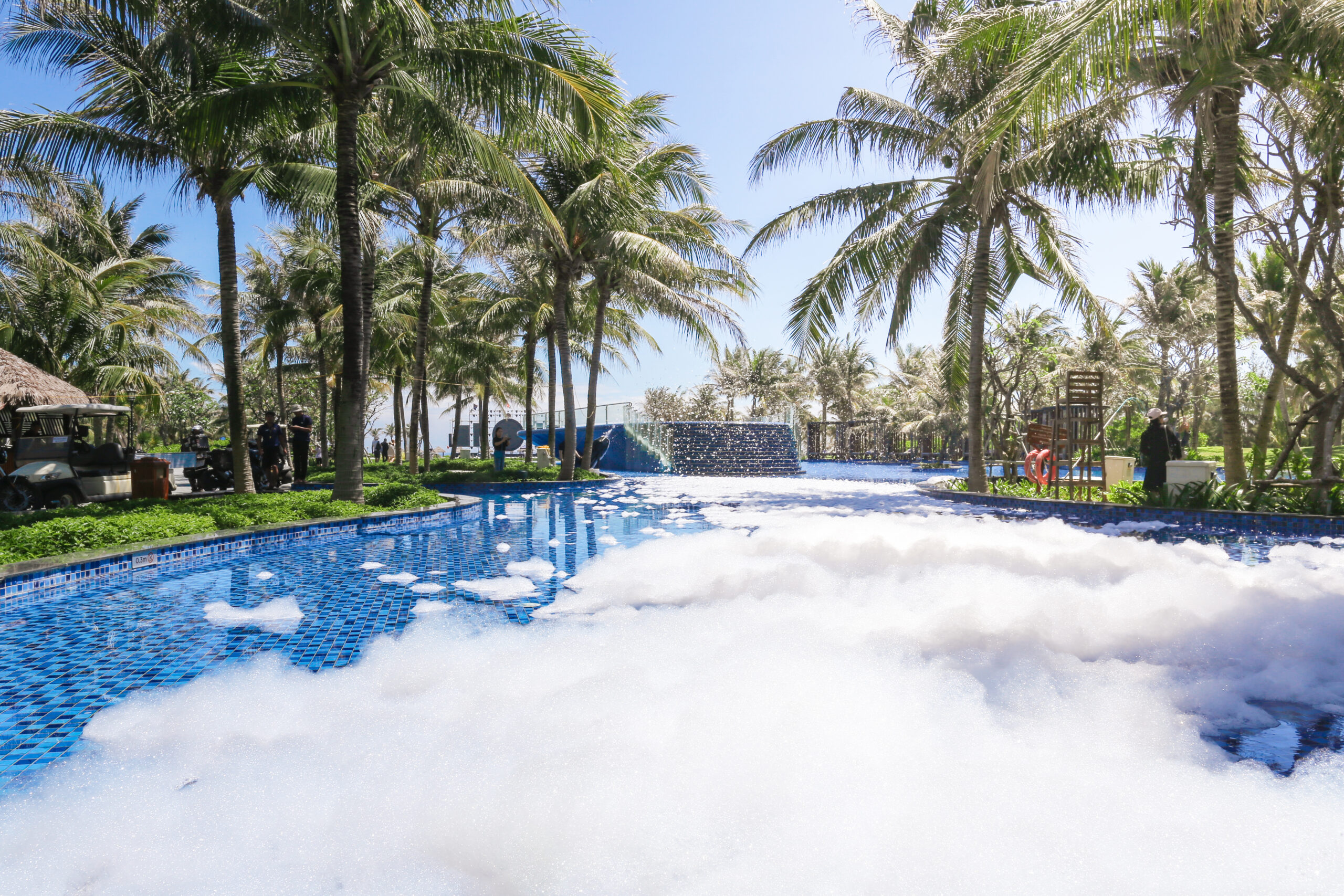 Vibrant Daily Activities